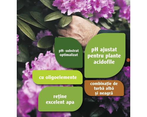 Informații despre substratul cu pH optimizat, pH ajustat pentru plante acidofile, oligoelemente și reținere excelentă a apei.