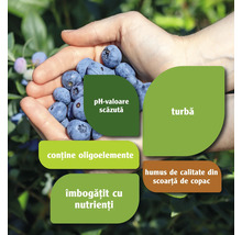 O mână de afine cu informații despre proprietăți, cum ar fi turbă, pH scăzut, oligoelemente, humus de calitate din scoarță de copac și îmbogățit cu nutrienți.