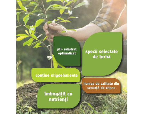 Informații despre substratul cu pH optimizat, specii selectate de turbă, conținutul de oligoelemente, substratul îmbogățit cu nutrienți și humus de calitate din scoarță de copac