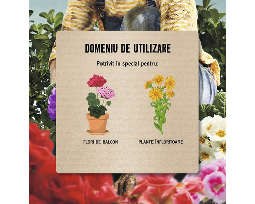 Domeniu de utilizare pentru flori de balcon și plante înfloritoare