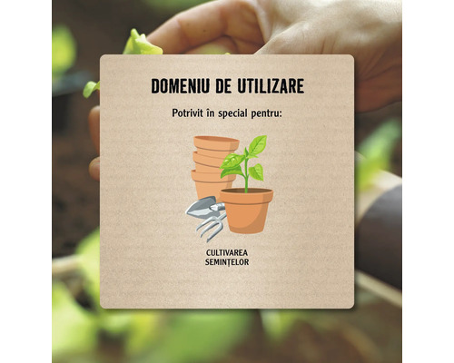 Ilustrație pentru utilizarea vaselor de plantare pentru cultivarea semințelor