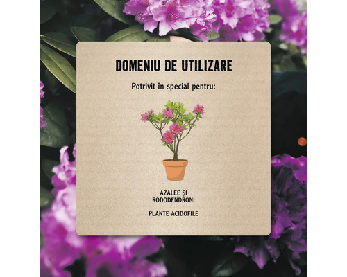 Domeniu de utilizare: Potrivit în special pentru azalee și rododendroni, plante acidofile