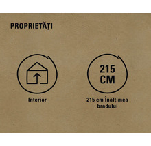 Simbol pentru utilizare la interior și înălțime brad 215 centimetri