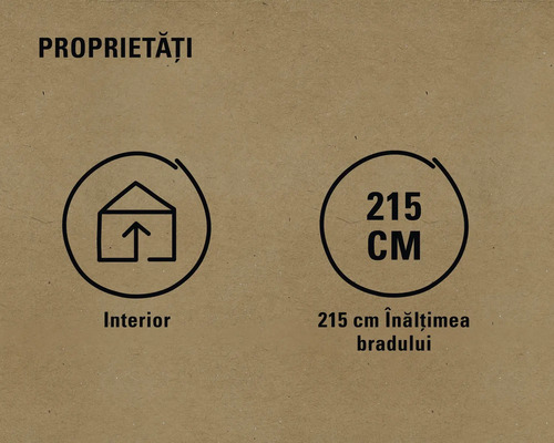 Simbol pentru utilizare la interior și înălțime brad 215 centimetri