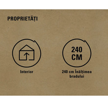 Simbol pentru interior și înălțimea bradului de 240 centimetri