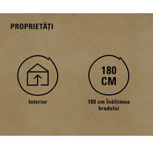 Proprietăți: Potrivit pentru interior, înălțime pom 180 centimetri