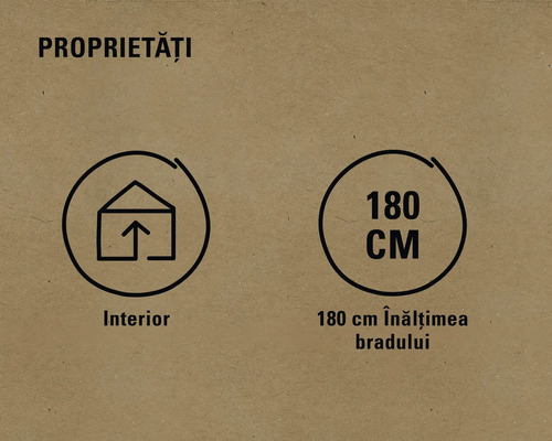 Proprietăți: Potrivit pentru interior, înălțime pom 180 centimetri