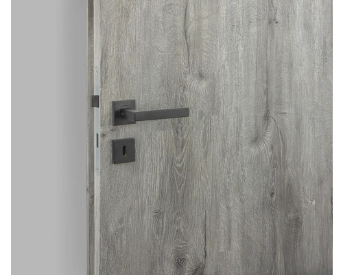 Ușă gri din lemn cu mâner negru