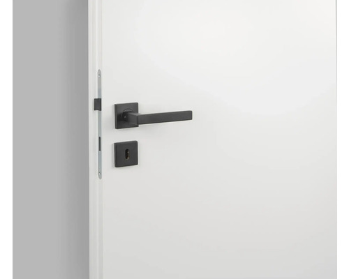 Ușă albă cu mâner și broască negre