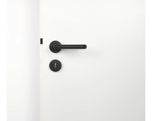 Feronerie ușă cu mâner și rozetă de cheie pe o ușă