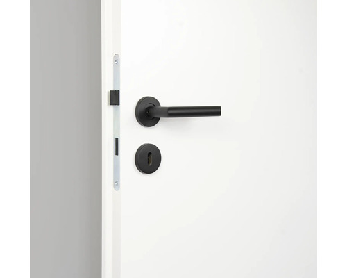 Ușă albă cu clanță și broască neagră