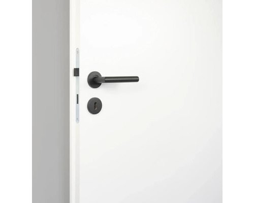 Ușă albă cu mâner și broască neagră