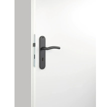 Mânere ușă cu șild Pertura Erla 72/240 mm oțel inoxidabil, pentru cheie BB, negru