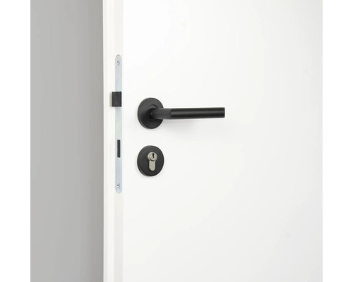 Ușă cu clanță și broască neagră