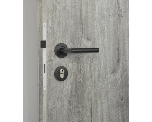 Feronerie de ușă cu mâner și broască pe o ușă de lemn