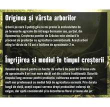 Informații despre originea, vârsta și îngrijirea brazilor.