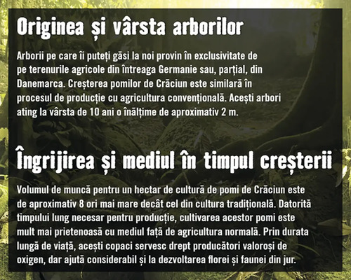 Informații despre originea, vârsta și îngrijirea brazilor.