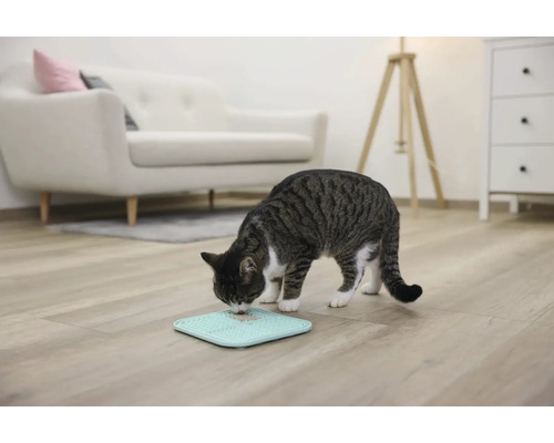 O pisică mănâncă dintr-un castron de hrănire pe podea într-o cameră de zi.