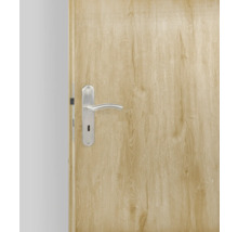 Mânere ușă cu șild Pertura Erla 72/240 mm oțel inoxidabil, pentru cheie BB