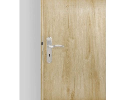 Ușă din lemn cu clanță argintie