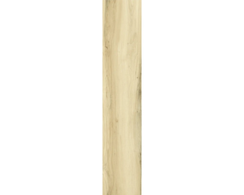 Placă ceramică aspect lemn