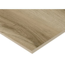 Placă ceramică cu aspect de lemn