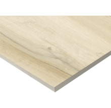 Placă ceramică cu aspect de lemn