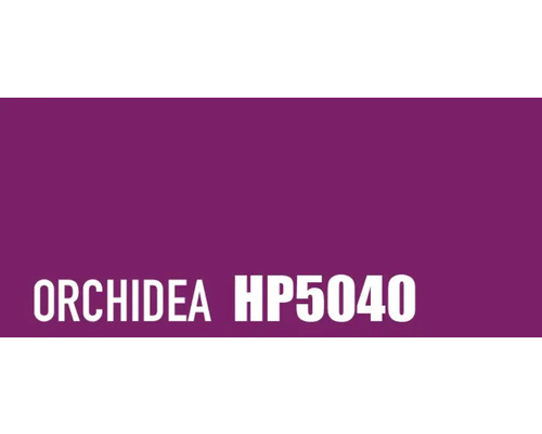 Culoare Orchidea HP5040