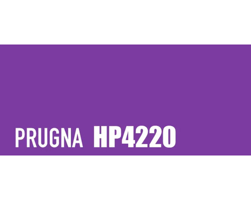 Prügna HP4220