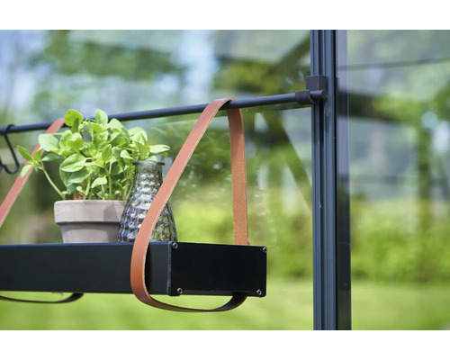 Vedere detaliată a unei sere cu o plantă și decorațiuni pe un raft cu curele de piele