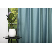 Cameră decorativă cu perdea, masă și plantă de interior pentru o atmosferă primitoare.