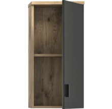 Dulap suspendat cu o ușă și un raft