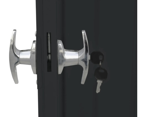 Prim-plan cu o ușă cu mâner și chei