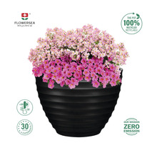 Ghiveci cu flori roz și violet