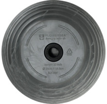 Farfurie Flowersea Darwin 26 cm