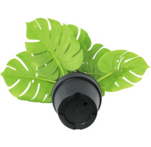 Plantă artificială Monstera Deliciosa în ghiveci negru