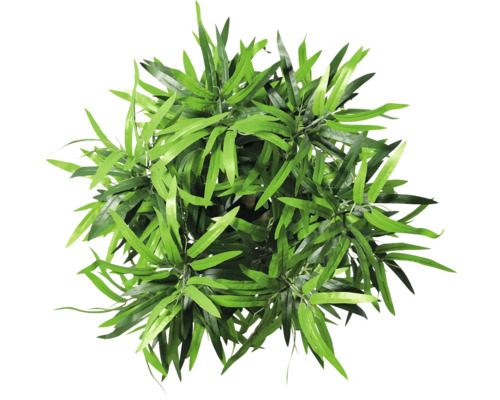 Vedere de sus a unei plante artificiale cu frunze verzi.