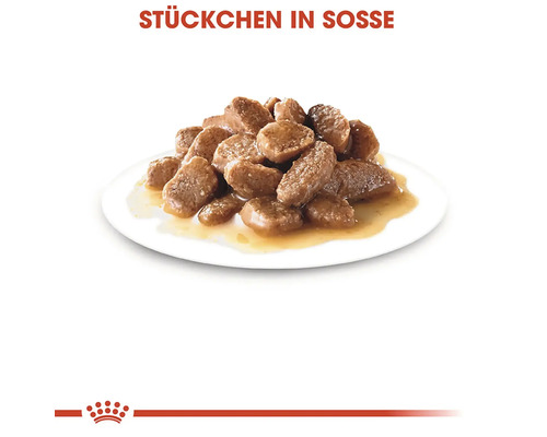 Bucăți în sos pe o farfurie, hrană pentru pisici