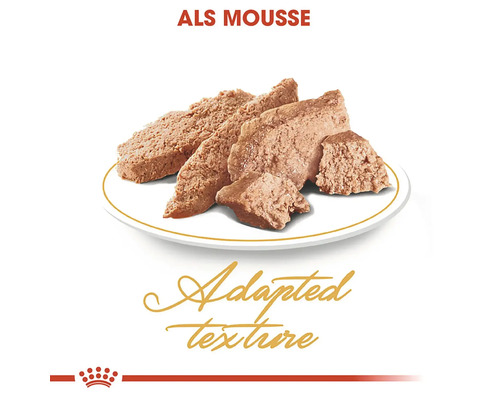 Mousse pentru pisici pe o farfurie