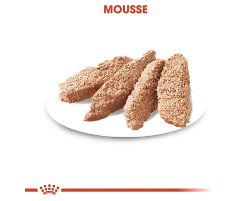 Mousse pentru pisici pe o farfurie