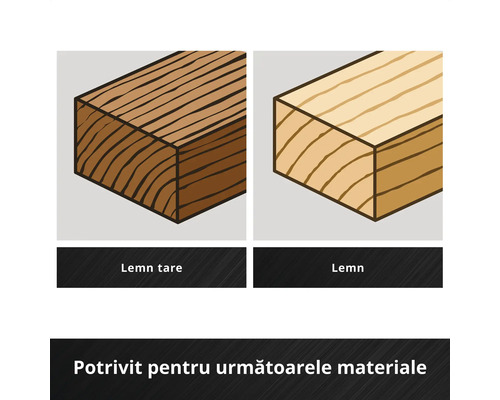 Ilustrație lemn de esență moale și lemn de esență tare