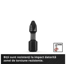 Bit de șurubelniță cu zonă de torsiune