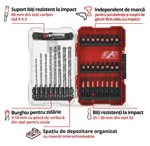 Set de burghie și biți cu diverse dimensiuni de burghie și forme de biți într-o cutie de depozitare transparentă și roșie
