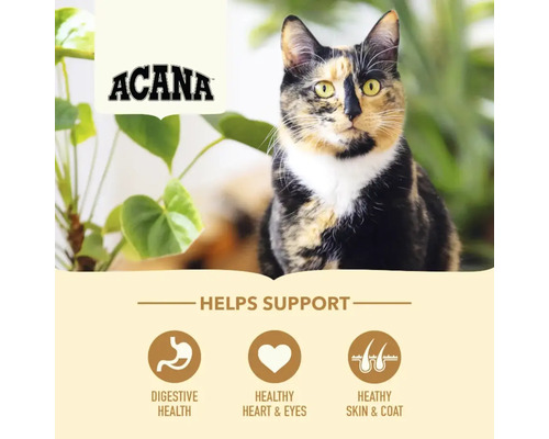 Logo Acana și pisică cu informații despre digestie, inimă, ochi, piele și blană