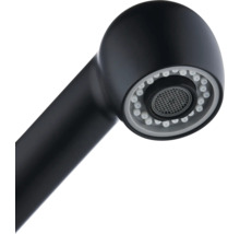 Cap de duș al unui robinet de bucătărie