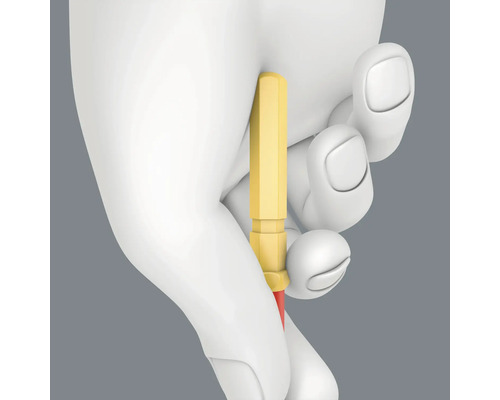 Mână ținând o șurubelniță