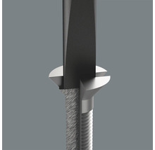 Imagine detaliată cu șurubelniță dreaptă