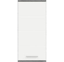 Dulap de perete cu ușă și mâner