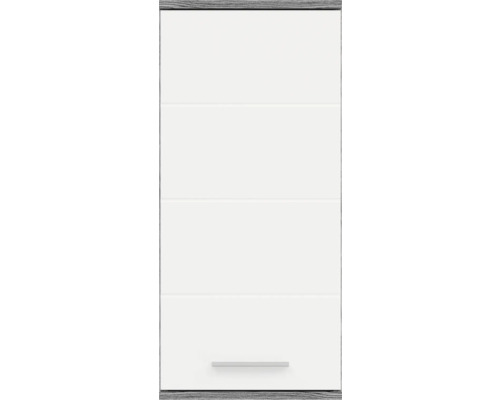 Dulap de perete cu ușă și mâner