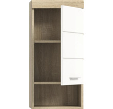 Dulap suspendat cu o ușă și rafturi